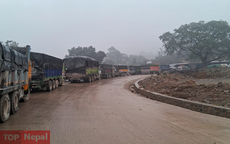 ६४ वर्ष पछि फेला पर्यो अनौठो चरा, आधा मानिस, आधा पंक्षी !