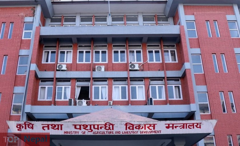 ६४ वर्ष पछि फेला पर्यो अनौठो चरा, आधा मानिस, आधा पंक्षी !