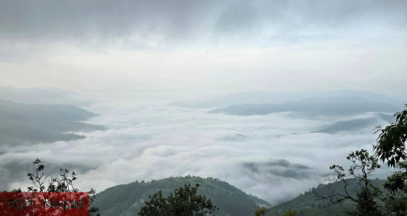 ६४ वर्ष पछि फेला पर्यो अनौठो चरा, आधा मानिस, आधा पंक्षी !
