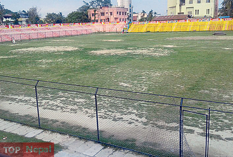 ६४ वर्ष पछि फेला पर्यो अनौठो चरा, आधा मानिस, आधा पंक्षी !