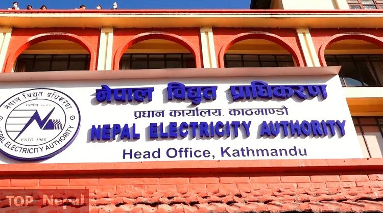 ६४ वर्ष पछि फेला पर्यो अनौठो चरा, आधा मानिस, आधा पंक्षी !
