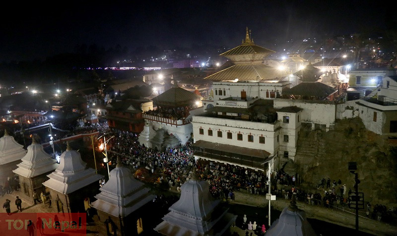 ६४ वर्ष पछि फेला पर्यो अनौठो चरा, आधा मानिस, आधा पंक्षी !