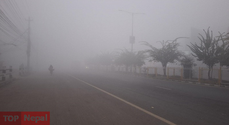 ६४ वर्ष पछि फेला पर्यो अनौठो चरा, आधा मानिस, आधा पंक्षी !