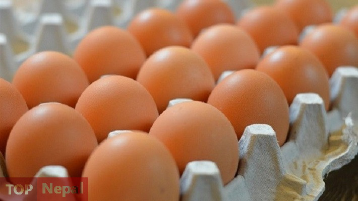 ६४ वर्ष पछि फेला पर्यो अनौठो चरा, आधा मानिस, आधा पंक्षी !
