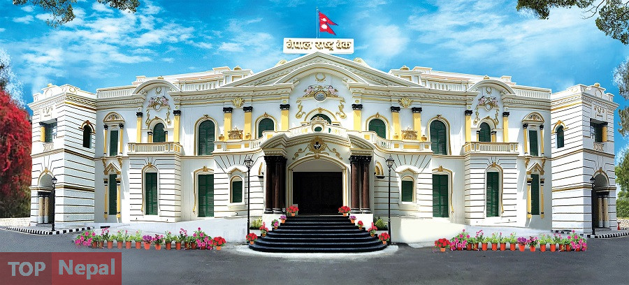 ६४ वर्ष पछि फेला पर्यो अनौठो चरा, आधा मानिस, आधा पंक्षी !