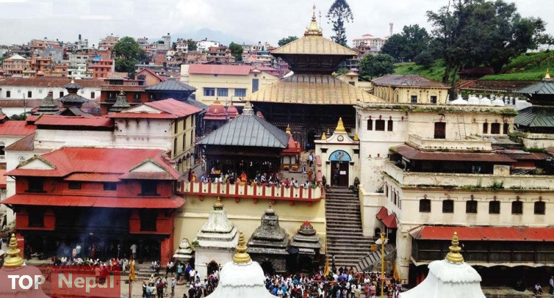 ६४ वर्ष पछि फेला पर्यो अनौठो चरा, आधा मानिस, आधा पंक्षी !