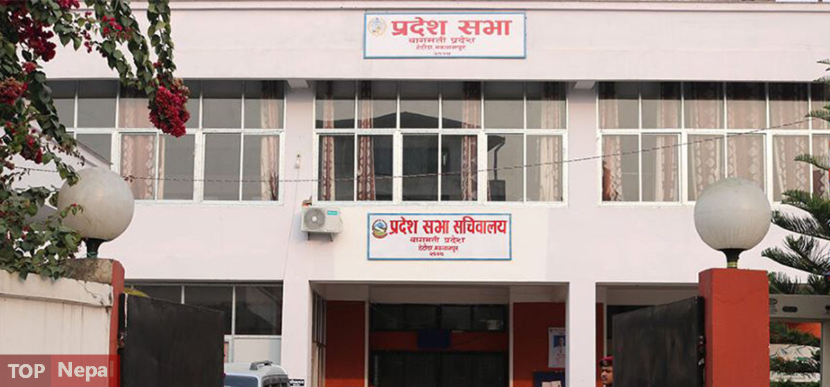 ६४ वर्ष पछि फेला पर्यो अनौठो चरा, आधा मानिस, आधा पंक्षी !