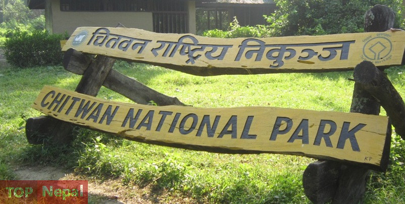६४ वर्ष पछि फेला पर्यो अनौठो चरा, आधा मानिस, आधा पंक्षी !