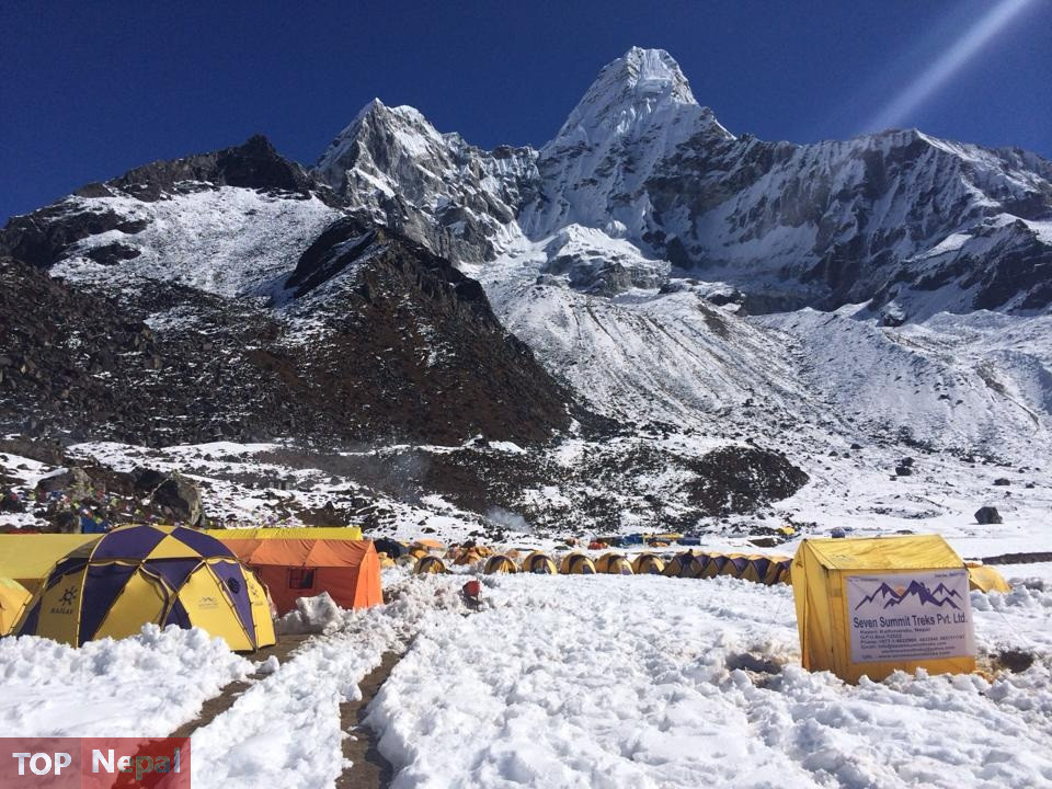 ६४ वर्ष पछि फेला पर्यो अनौठो चरा, आधा मानिस, आधा पंक्षी !