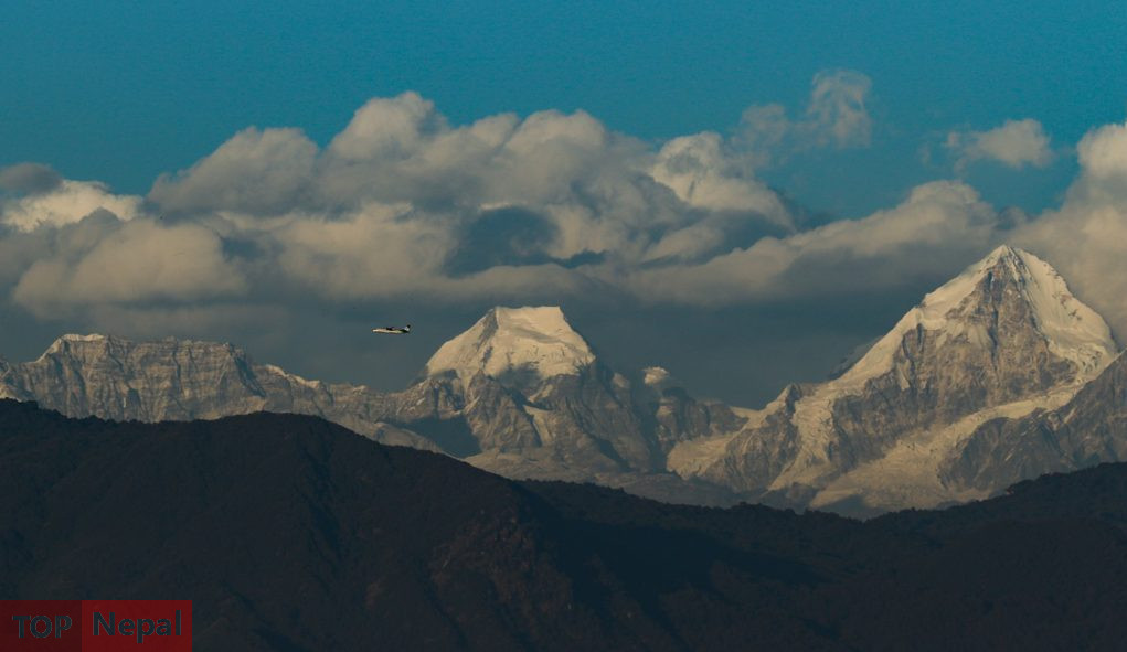 ६४ वर्ष पछि फेला पर्यो अनौठो चरा, आधा मानिस, आधा पंक्षी !