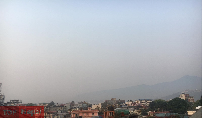 ६४ वर्ष पछि फेला पर्यो अनौठो चरा, आधा मानिस, आधा पंक्षी !