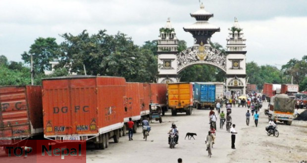 ६४ वर्ष पछि फेला पर्यो अनौठो चरा, आधा मानिस, आधा पंक्षी !