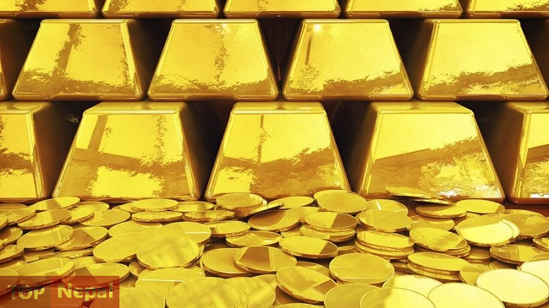 ६४ वर्ष पछि फेला पर्यो अनौठो चरा, आधा मानिस, आधा पंक्षी !