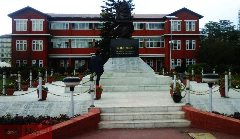 ६४ वर्ष पछि फेला पर्यो अनौठो चरा, आधा मानिस, आधा पंक्षी !