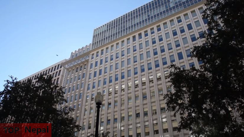 ६४ वर्ष पछि फेला पर्यो अनौठो चरा, आधा मानिस, आधा पंक्षी !