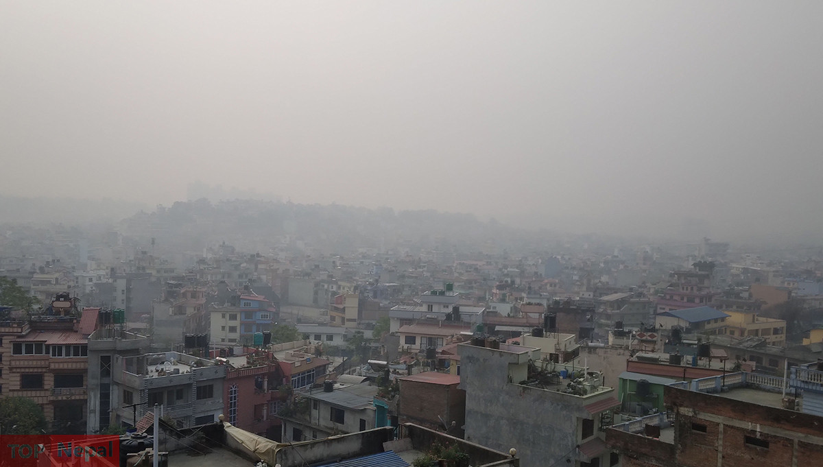 ६४ वर्ष पछि फेला पर्यो अनौठो चरा, आधा मानिस, आधा पंक्षी !