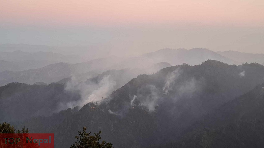 ६४ वर्ष पछि फेला पर्यो अनौठो चरा, आधा मानिस, आधा पंक्षी !