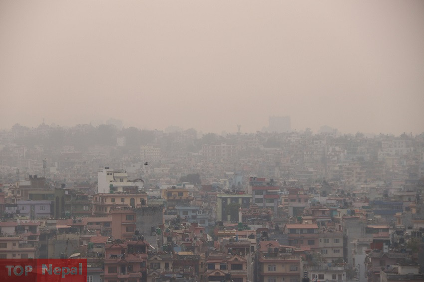 ६४ वर्ष पछि फेला पर्यो अनौठो चरा, आधा मानिस, आधा पंक्षी !