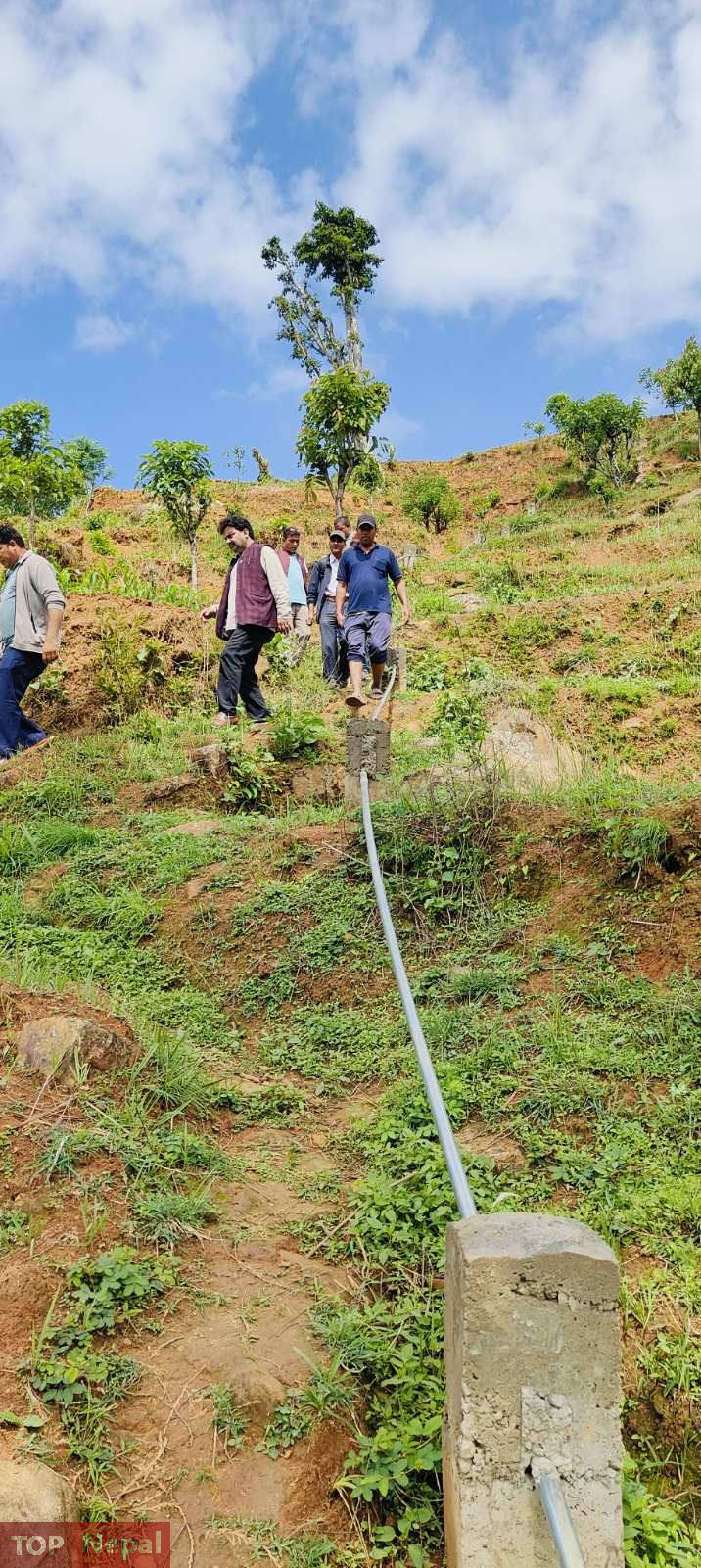 ६४ वर्ष पछि फेला पर्यो अनौठो चरा, आधा मानिस, आधा पंक्षी !