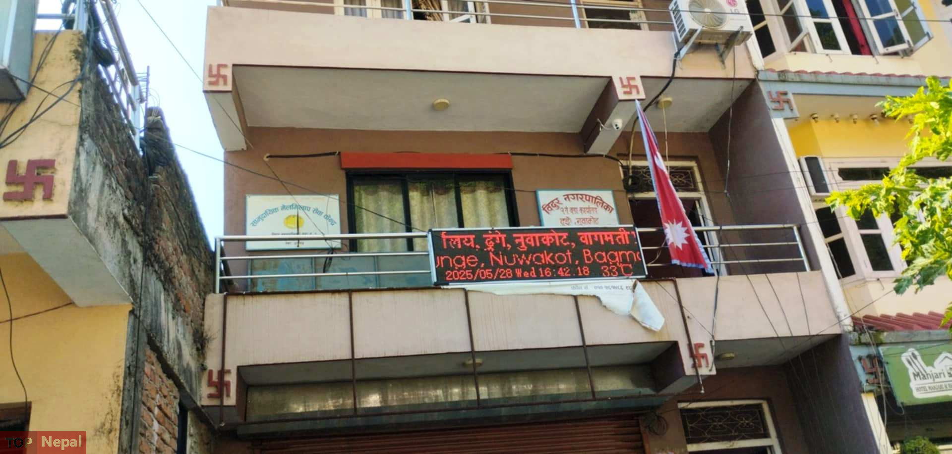६४ वर्ष पछि फेला पर्यो अनौठो चरा, आधा मानिस, आधा पंक्षी !