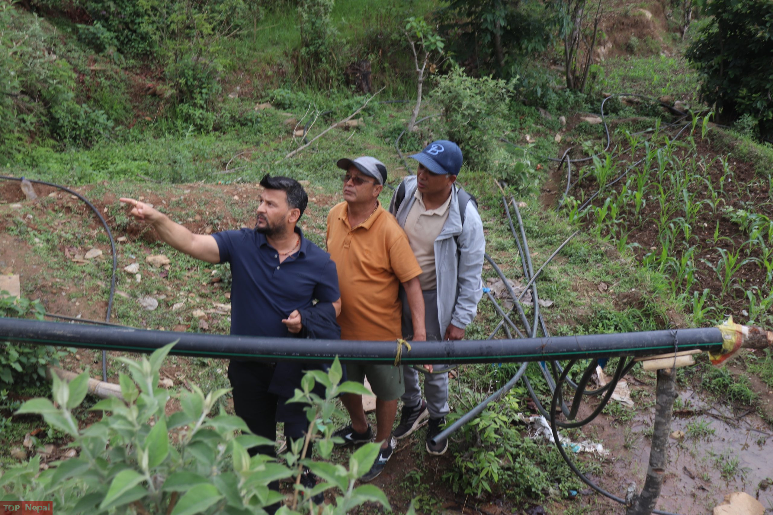 ६४ वर्ष पछि फेला पर्यो अनौठो चरा, आधा मानिस, आधा पंक्षी !