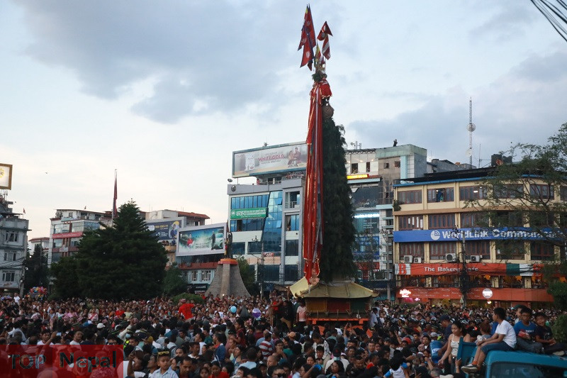 ६४ वर्ष पछि फेला पर्यो अनौठो चरा, आधा मानिस, आधा पंक्षी !