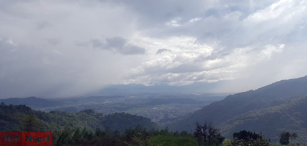 ६४ वर्ष पछि फेला पर्यो अनौठो चरा, आधा मानिस, आधा पंक्षी !