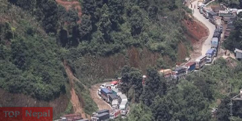 ६४ वर्ष पछि फेला पर्यो अनौठो चरा, आधा मानिस, आधा पंक्षी !
