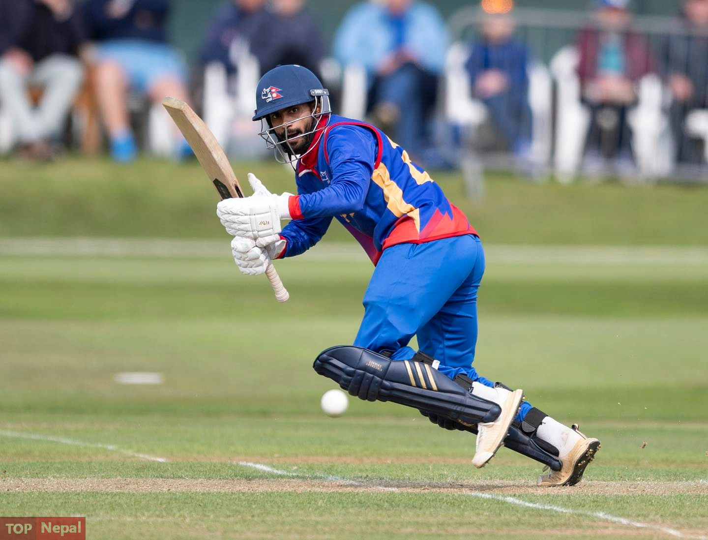 ६४ वर्ष पछि फेला पर्यो अनौठो चरा, आधा मानिस, आधा पंक्षी !