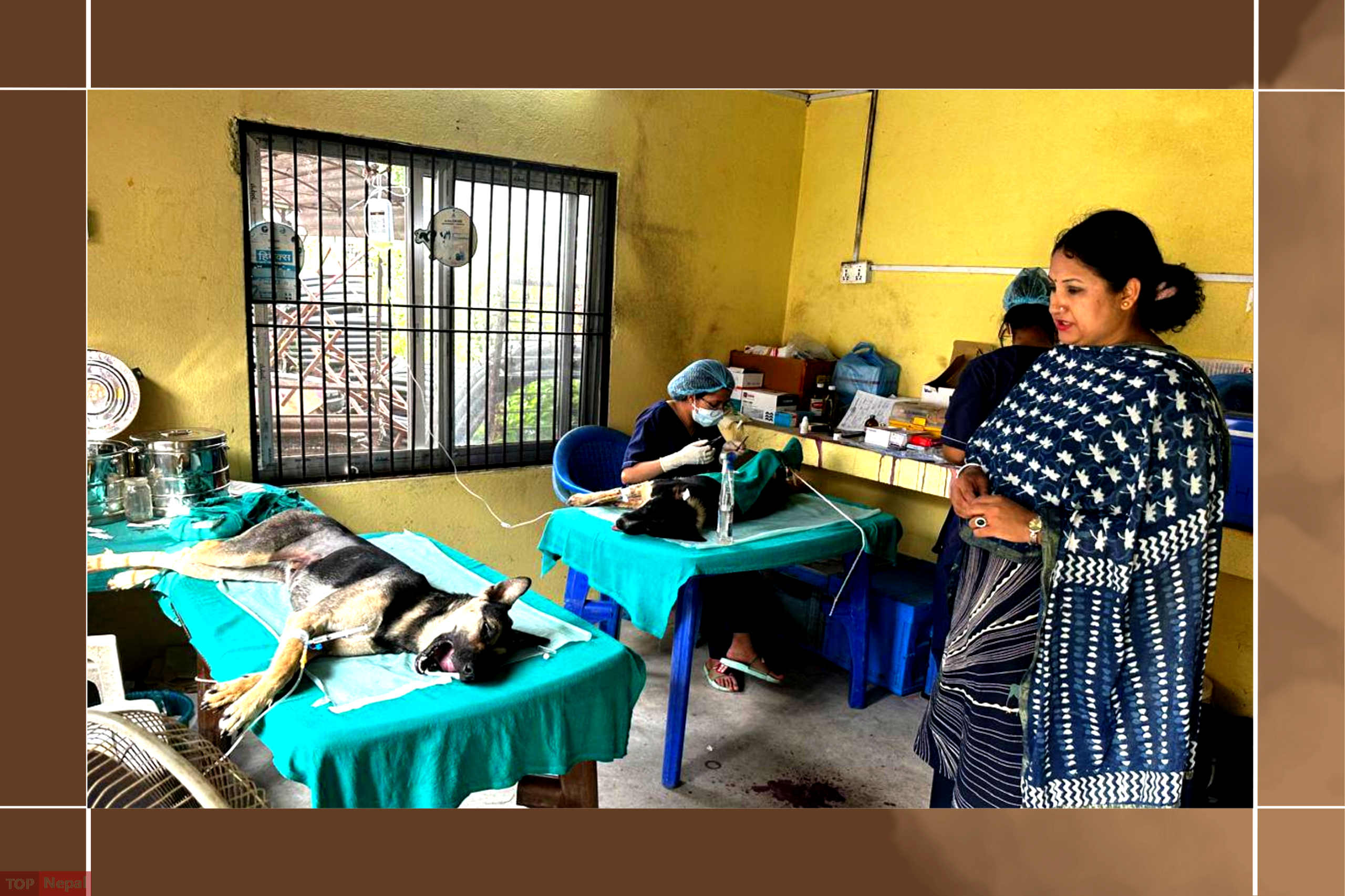 ६४ वर्ष पछि फेला पर्यो अनौठो चरा, आधा मानिस, आधा पंक्षी !