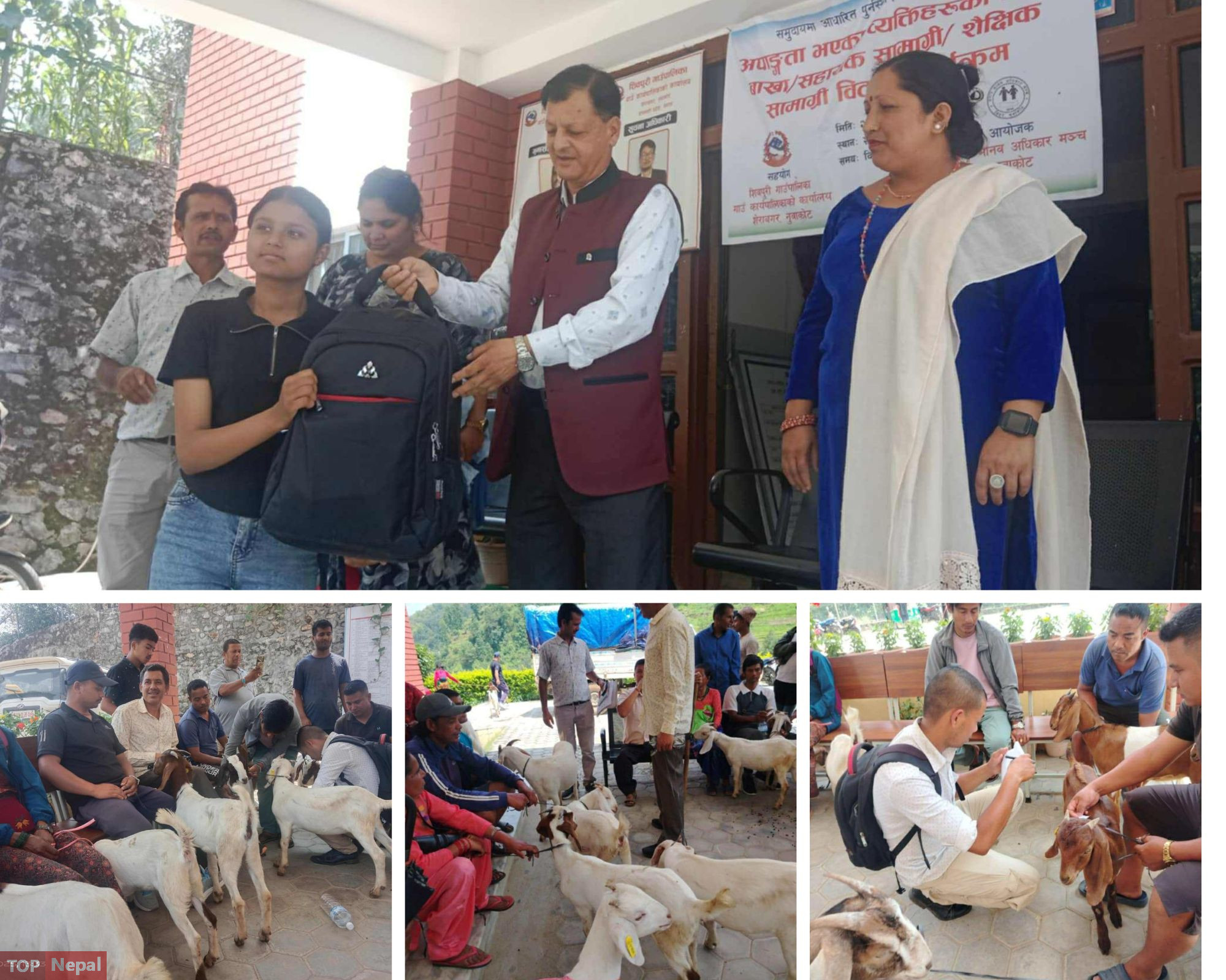 ६४ वर्ष पछि फेला पर्यो अनौठो चरा, आधा मानिस, आधा पंक्षी !