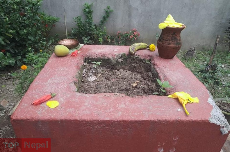 ६४ वर्ष पछि फेला पर्यो अनौठो चरा, आधा मानिस, आधा पंक्षी !