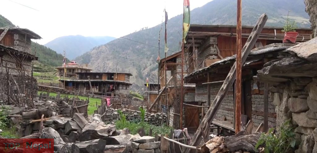 ६४ वर्ष पछि फेला पर्यो अनौठो चरा, आधा मानिस, आधा पंक्षी !