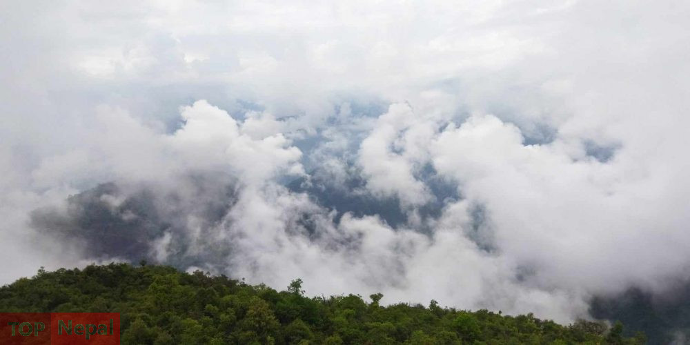 ६४ वर्ष पछि फेला पर्यो अनौठो चरा, आधा मानिस, आधा पंक्षी !