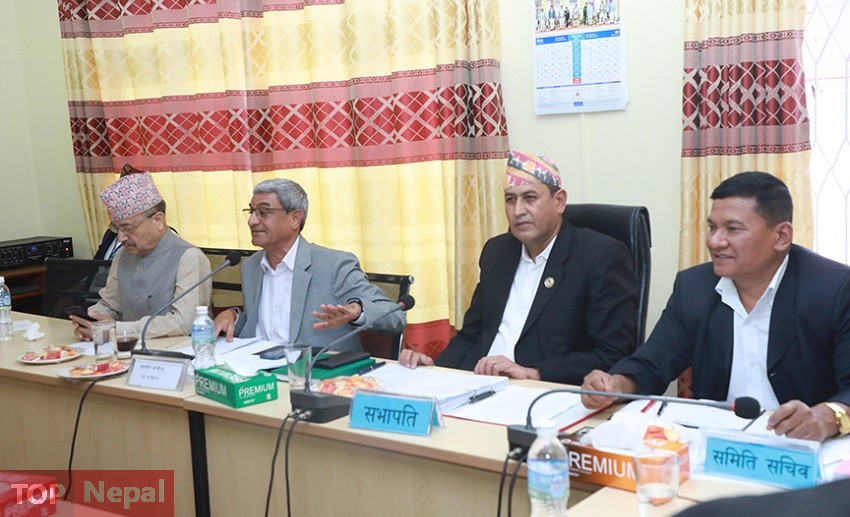 ६४ वर्ष पछि फेला पर्यो अनौठो चरा, आधा मानिस, आधा पंक्षी !