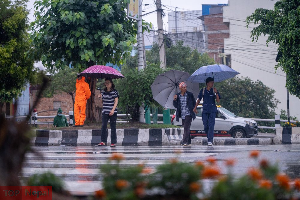६४ वर्ष पछि फेला पर्यो अनौठो चरा, आधा मानिस, आधा पंक्षी !