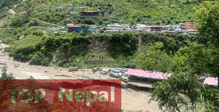 ६४ वर्ष पछि फेला पर्यो अनौठो चरा, आधा मानिस, आधा पंक्षी !
