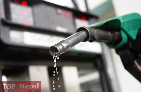 ६४ वर्ष पछि फेला पर्यो अनौठो चरा, आधा मानिस, आधा पंक्षी !