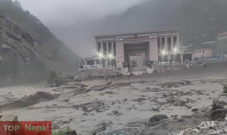 ६४ वर्ष पछि फेला पर्यो अनौठो चरा, आधा मानिस, आधा पंक्षी !