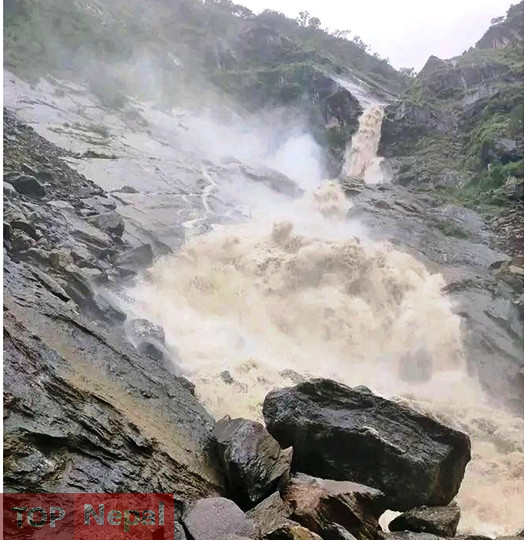 ६४ वर्ष पछि फेला पर्यो अनौठो चरा, आधा मानिस, आधा पंक्षी !