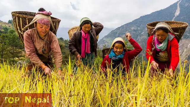 ६४ वर्ष पछि फेला पर्यो अनौठो चरा, आधा मानिस, आधा पंक्षी !