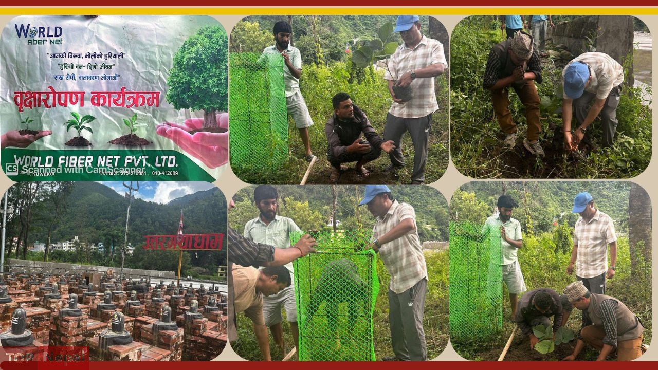 ६४ वर्ष पछि फेला पर्यो अनौठो चरा, आधा मानिस, आधा पंक्षी !