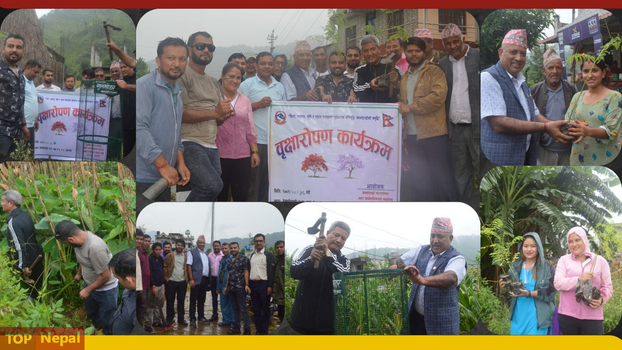 ६४ वर्ष पछि फेला पर्यो अनौठो चरा, आधा मानिस, आधा पंक्षी !
