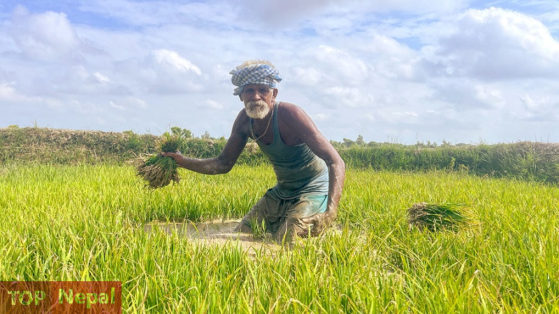 ६४ वर्ष पछि फेला पर्यो अनौठो चरा, आधा मानिस, आधा पंक्षी !