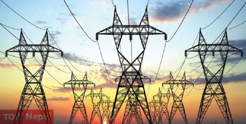 ६४ वर्ष पछि फेला पर्यो अनौठो चरा, आधा मानिस, आधा पंक्षी !