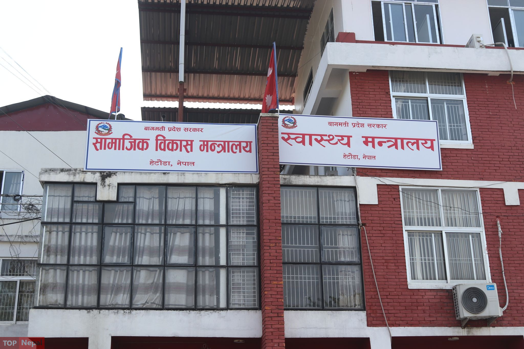 ६४ वर्ष पछि फेला पर्यो अनौठो चरा, आधा मानिस, आधा पंक्षी !