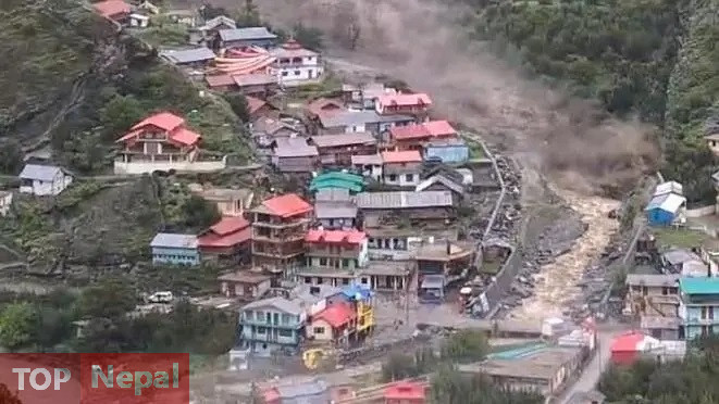 ६४ वर्ष पछि फेला पर्यो अनौठो चरा, आधा मानिस, आधा पंक्षी !