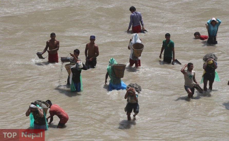 ६४ वर्ष पछि फेला पर्यो अनौठो चरा, आधा मानिस, आधा पंक्षी !