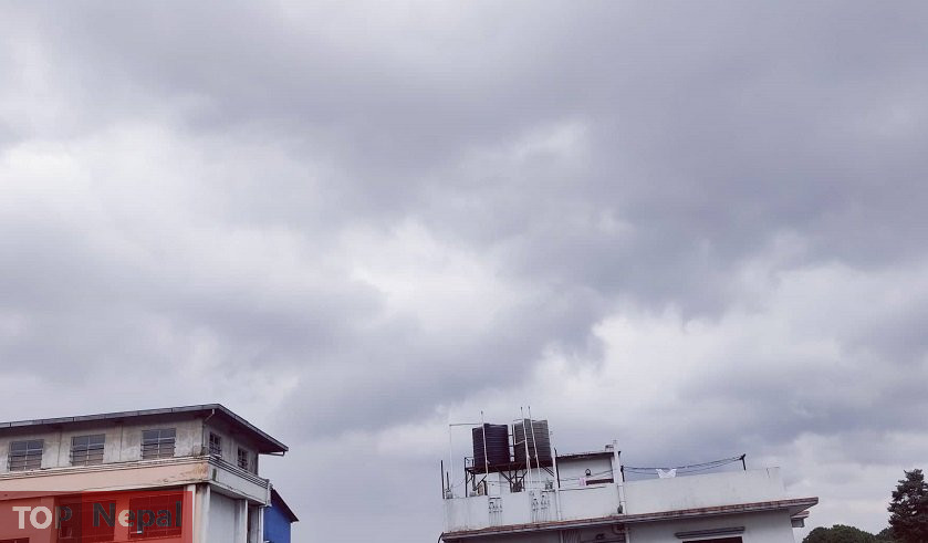६४ वर्ष पछि फेला पर्यो अनौठो चरा, आधा मानिस, आधा पंक्षी !