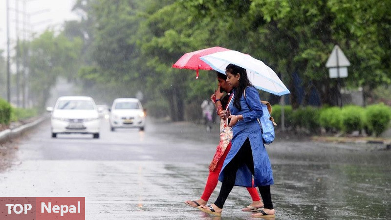 ६४ वर्ष पछि फेला पर्यो अनौठो चरा, आधा मानिस, आधा पंक्षी !